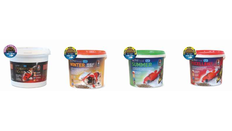 Nourriture poisson ichi food